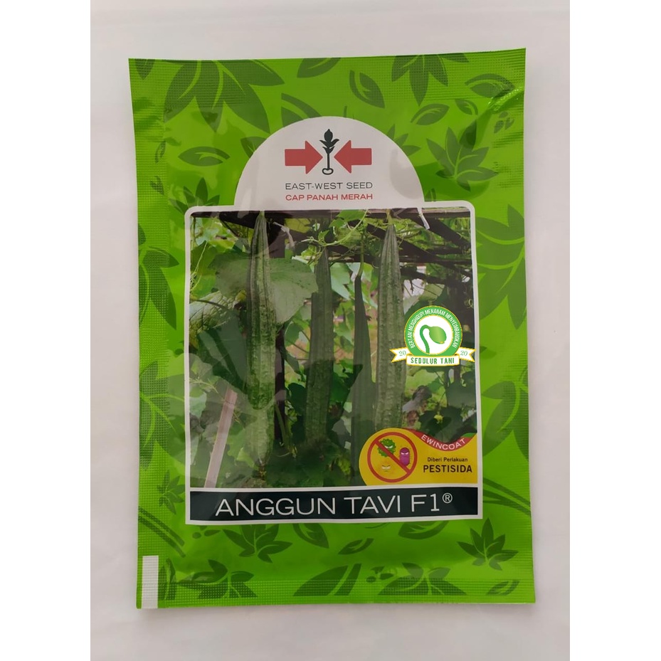 Benih Bibit Gambas Oyong Tahan Virus ANGGUN TAVI F1