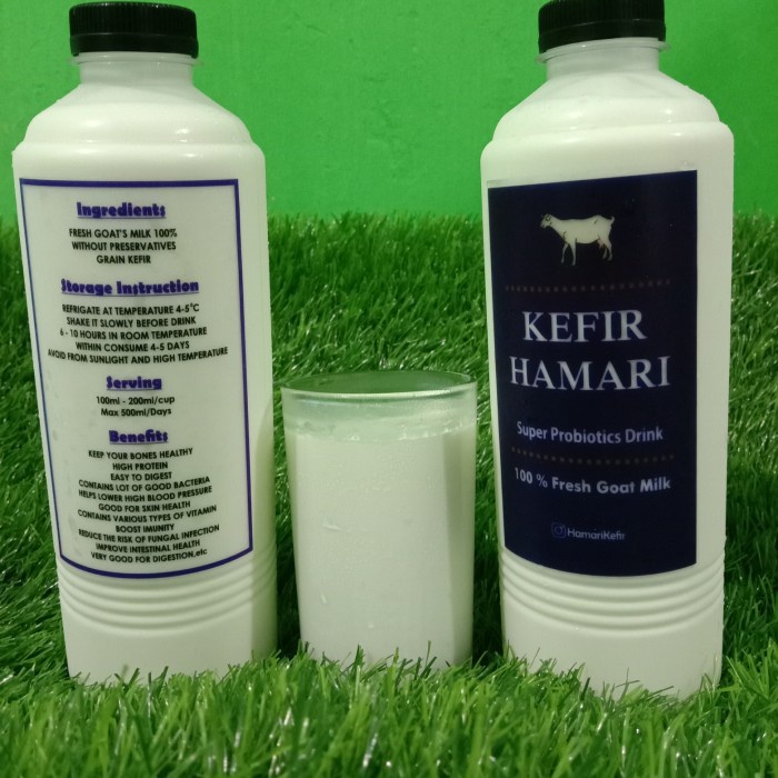 

Hamari Kefir ( Kambing ) (BERKUALITAS)
