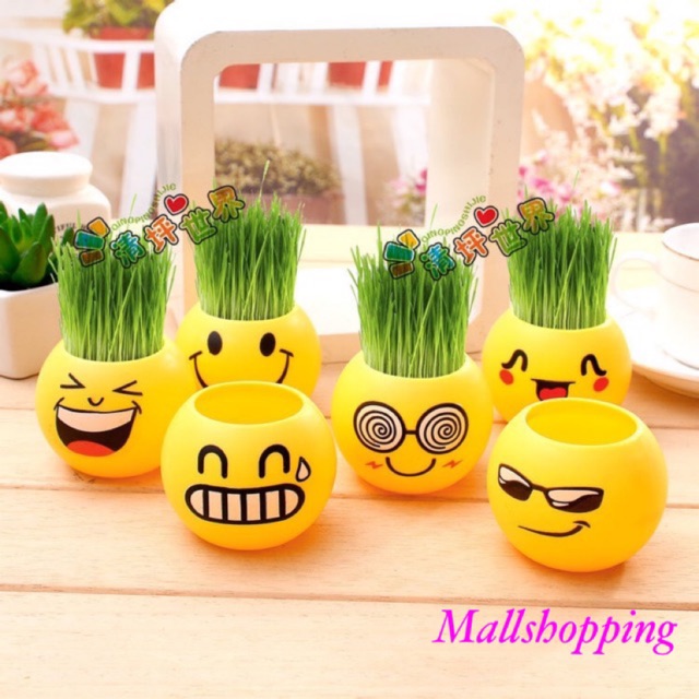  COD Pot  Rumput Lucu Mini H112 Motif Emoticon Emoji  BOX 