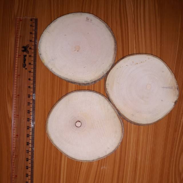 Wood slice potongan kayu