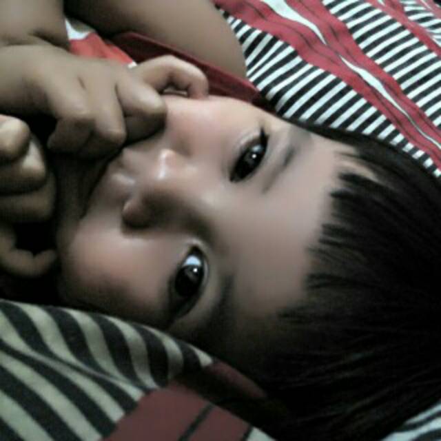fitri2629