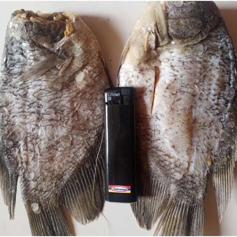 

Ikan Asin Sepat Siam Besar Jumbo 1 Kg fresh.