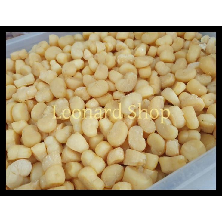 

DISKON TERBATAS !!! SCALLOP KERING INDONESIA DRIED GANBEI KERANG CONPOY DRY SEAFOOD 100GM TERLARIS