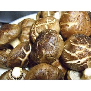 

Jamur hioko / Shitake JAJ ( 50 gr, 100 gr )