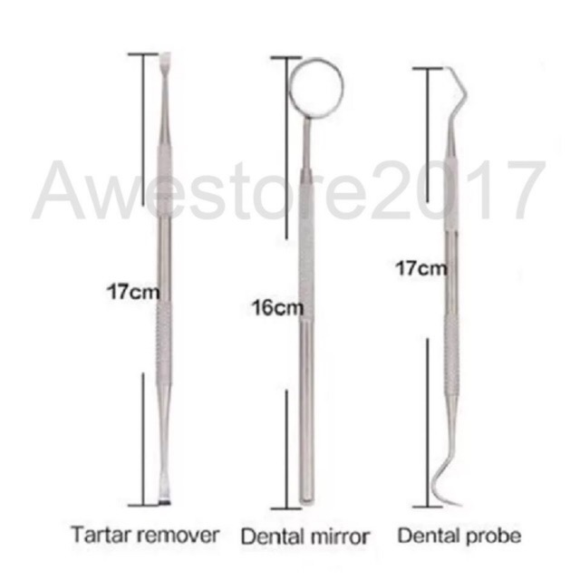 ECER SATUAN 1 PC Alat Pembersih Karang Gigi Dental Tartar Remover Kikir Stainless Steel