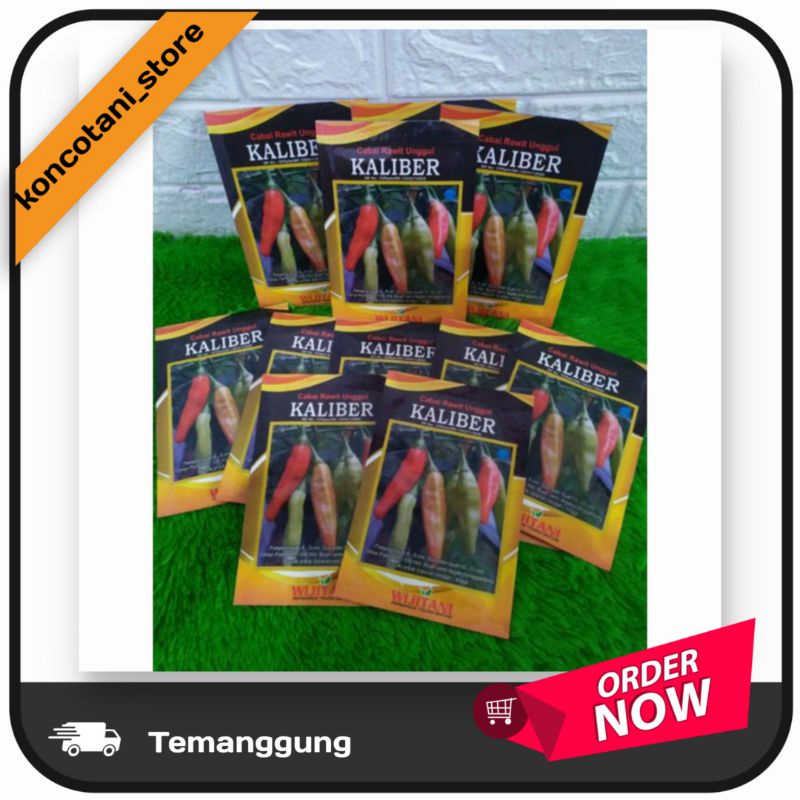 Benih Cabe Rawit Unggul Kaliber