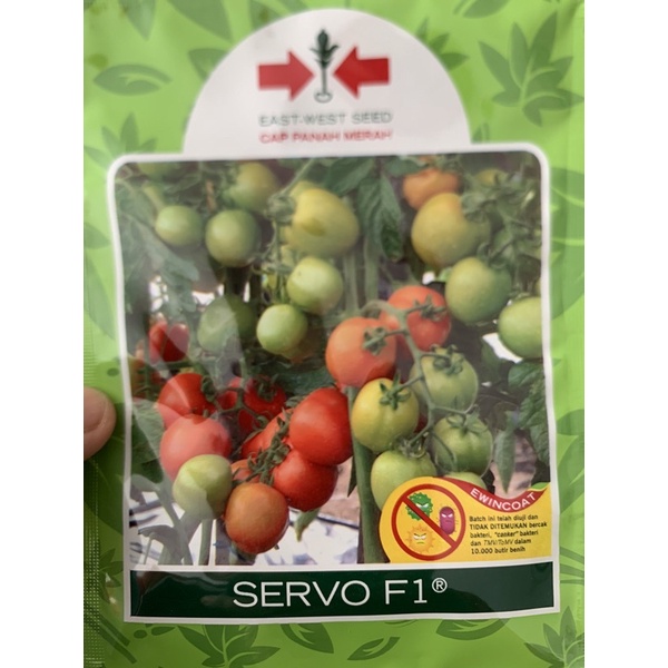 tomat servo tomat buah tahan virus