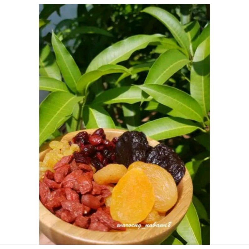 

Mix Fruit / Buah Kering campur / Apricot, Plum, Gojiberry, Kismis, Cranberry 30 gram