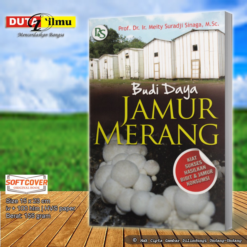 Budidaya Jamur Merang