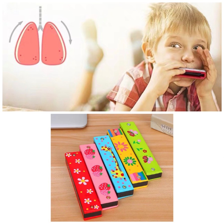 TERLARIS PROMO NEW PRODUK Mainan Anak Alat Musik Harmonika Musical Toy 16 Holes Alat Musik Tiup / Harmonica No.1031