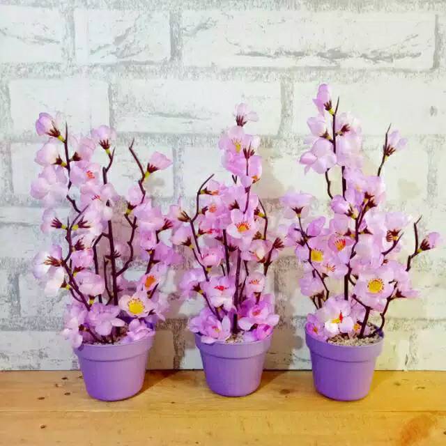 PB13 Bunga Sakura / Pot Warna Bunga Sakura