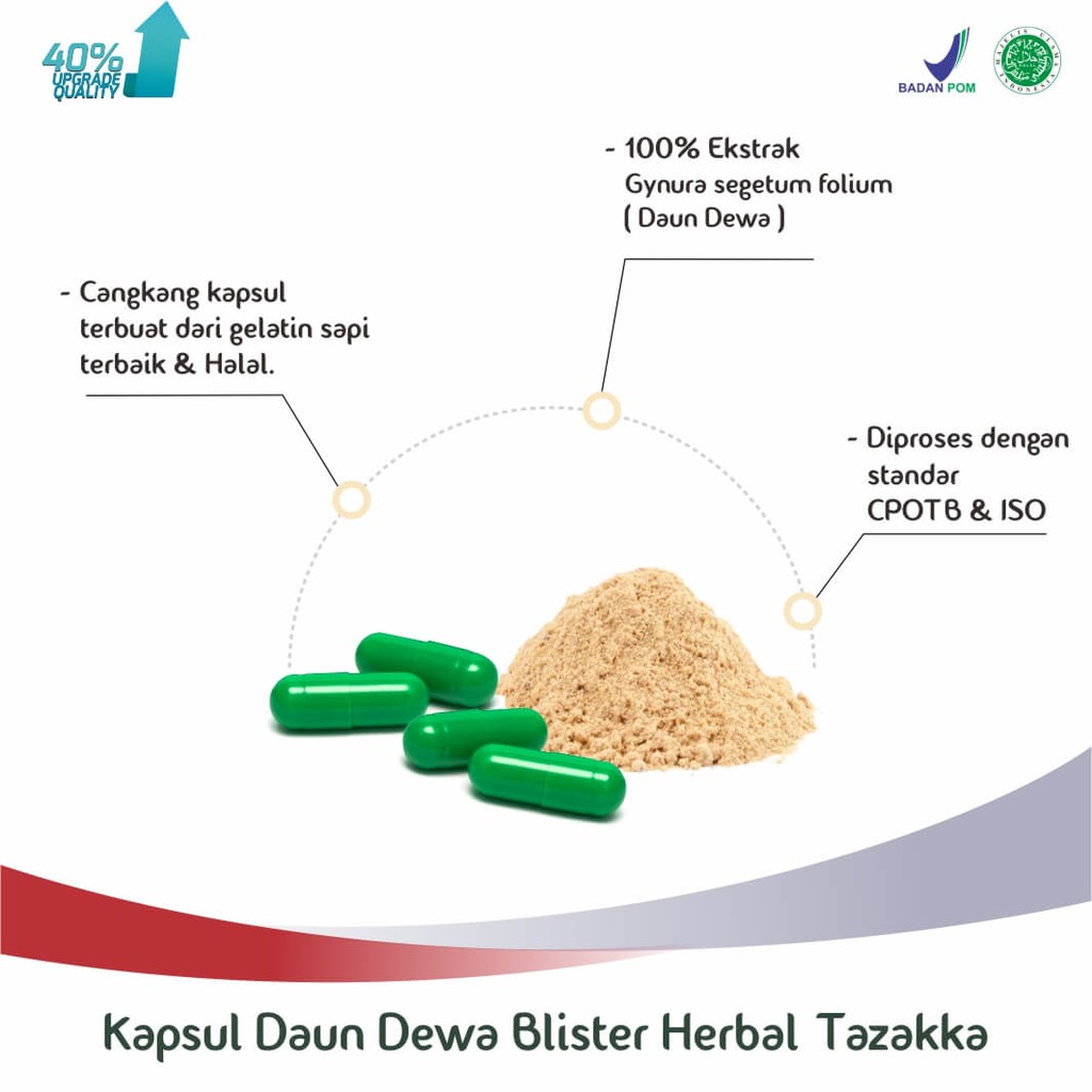 Obat Herbal Stroke Ampuh Penurun Darah Tinggi Ekstrak Daun Dewa Tazakka Original 20 Kapsul Blister.