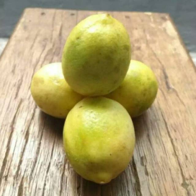 

JERUK LEMON LOKAL 1 KG