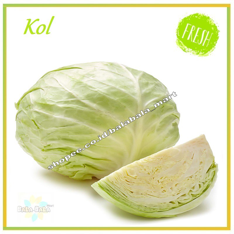 

KOL SAYUR FRESH / KUBIS