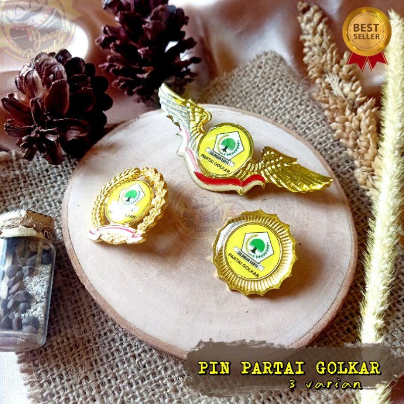 PIN PARTAI GOLKAR