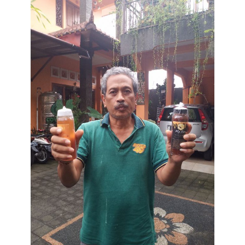 

Madu Murni Lebah Apis Dorsata