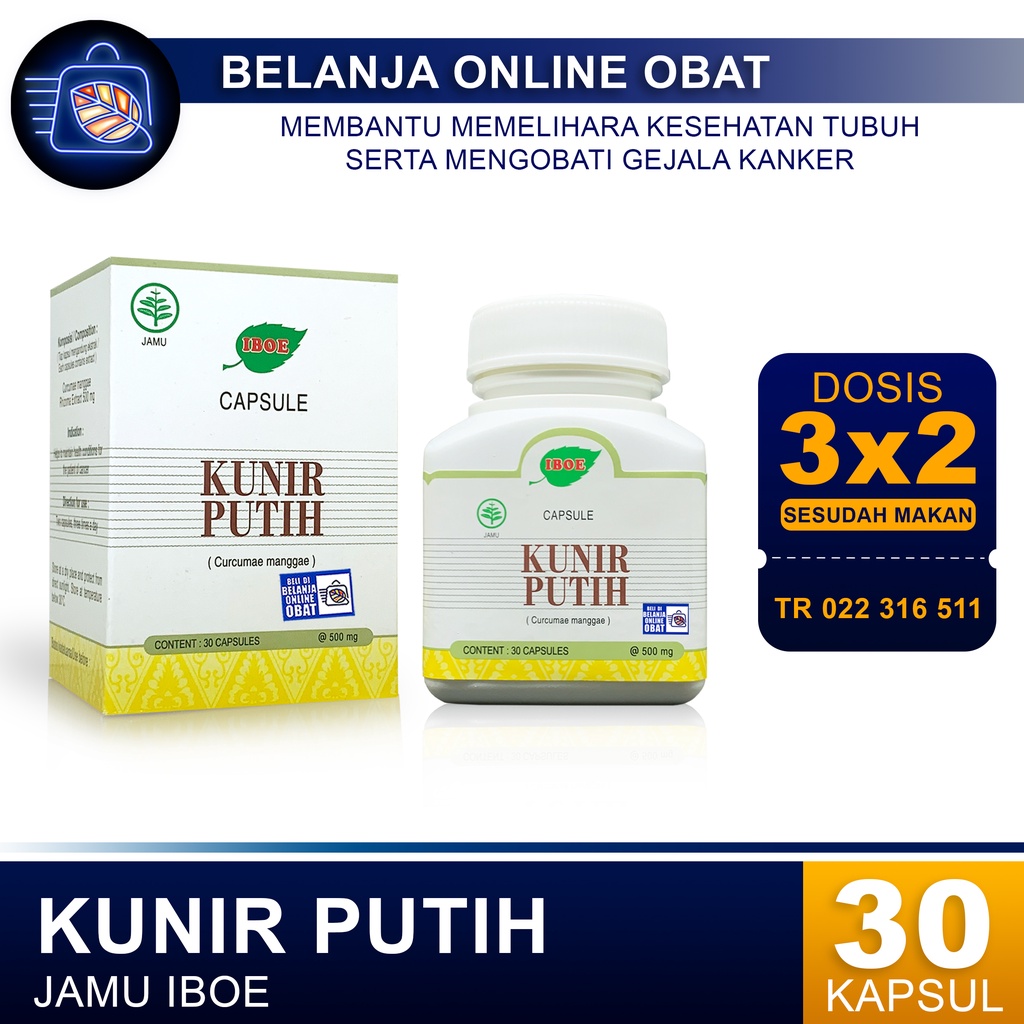 KUNIR PUTIH IBOE // Mengobati gejala kanker