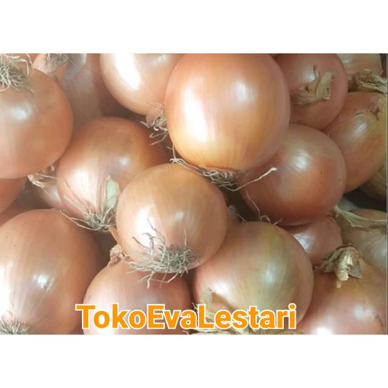 

[1Kg]Bawang Bombai New zeland 55000
