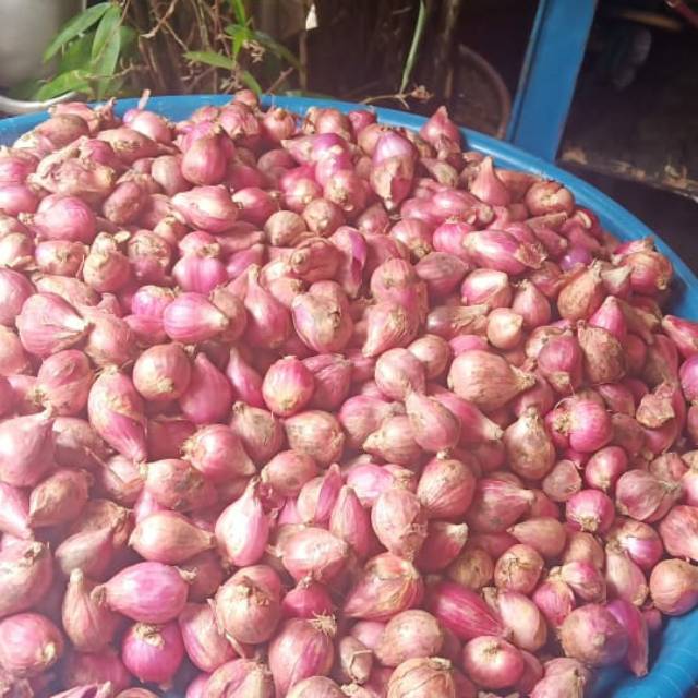 

Bawang merah brebes