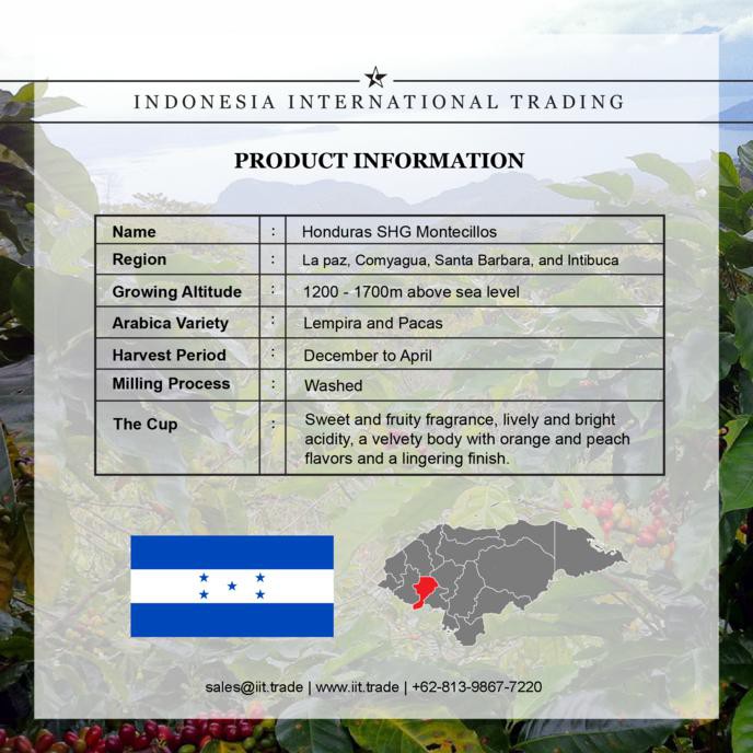 

PROMO ENAK 1kg - Arabica Honduras Washed Montecillos Terlaris