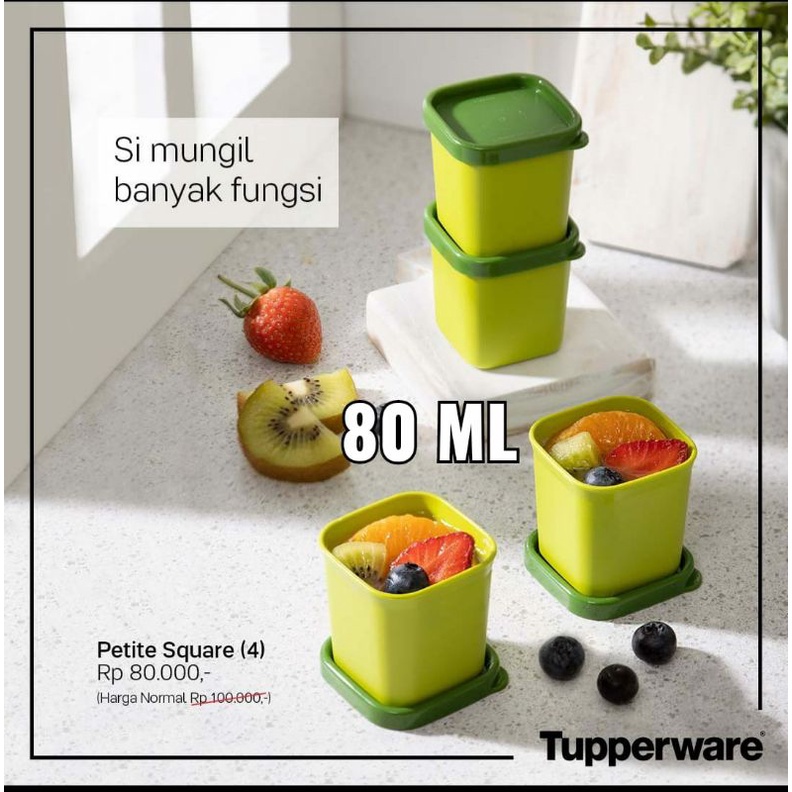 Petite Square Tupperware Ecer (1)