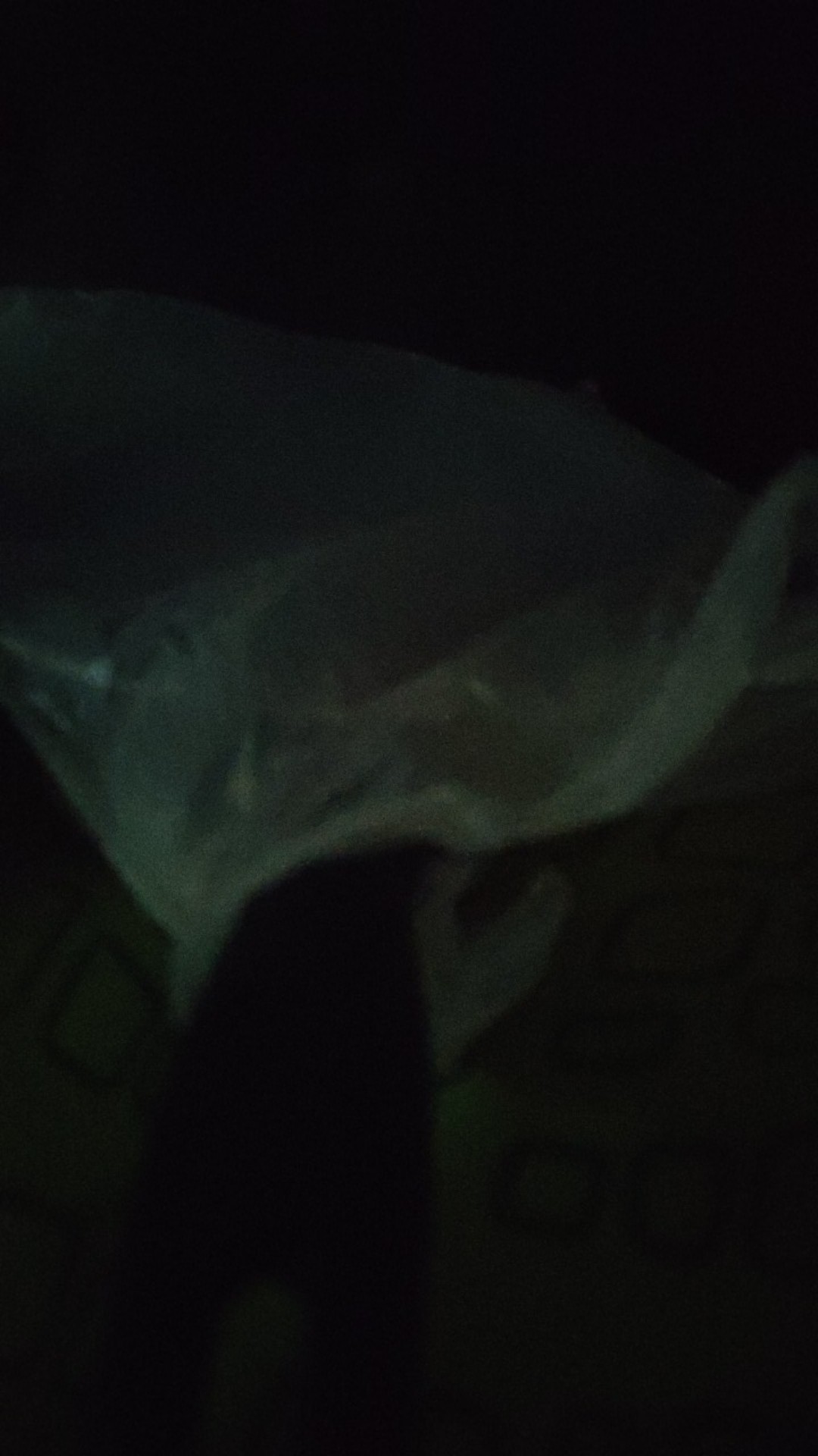 Maxim Galaxy Non-stick / Fry Pan 26 Cm (gal26fp)