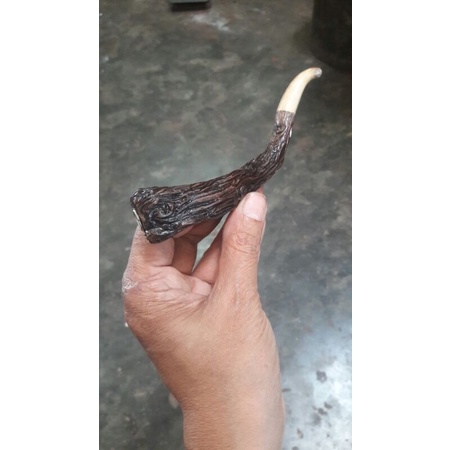 pipa  once  kayu oyot stigi setigi /sambung tanduk Rs ukir serat kayu