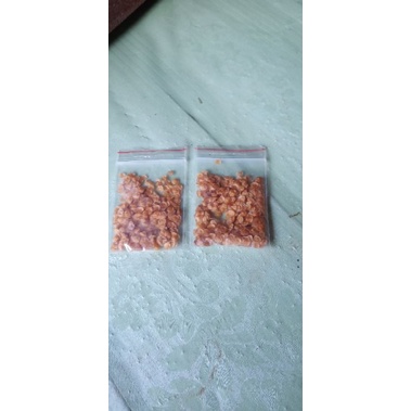 

benih biji terong pari bibit terong duri/teron hutan 1 kantong