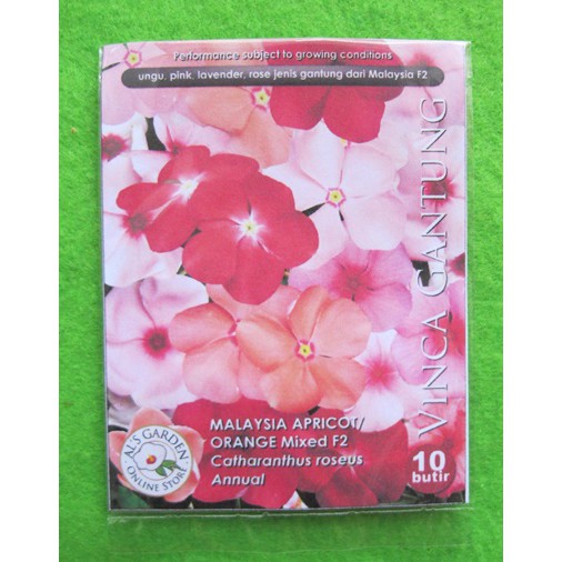 Benih Biji Bunga Vinca Gantung Malaysia Orange - Apricot Mixed Pack - Als Garden