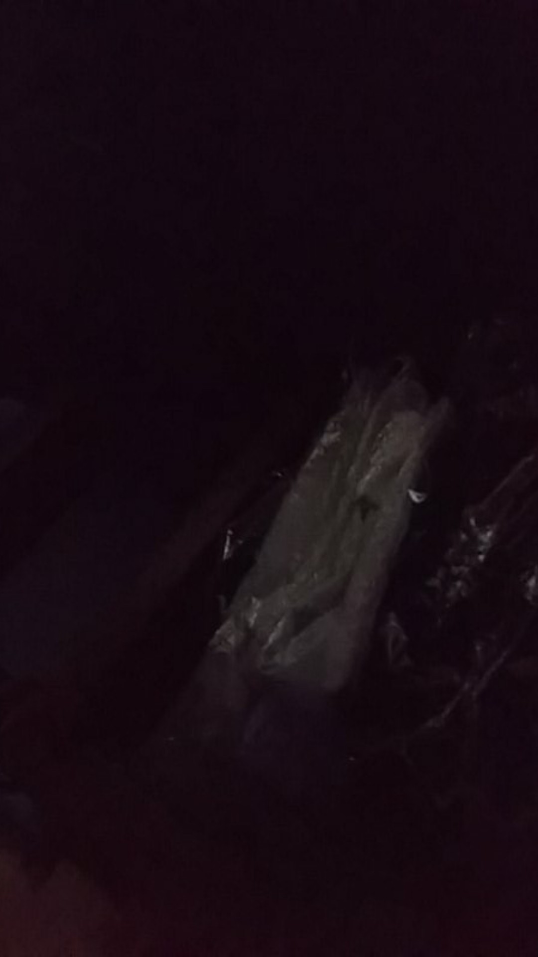 Bswart Batik Hrb026 Kenongo Hem Pendek Padi Pekalongan M L Xl Batik Pria Murah Modern Grosir