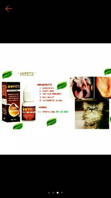 Hypets obat sariawan sakit gigi kucing anjing