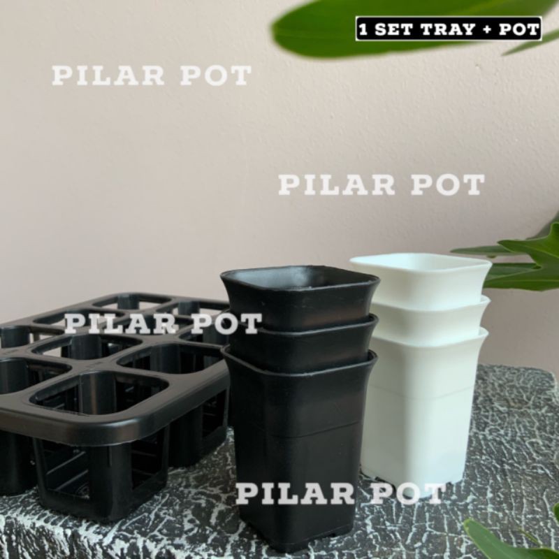 1 set Tray + pot bunga tanaman nkt kotak 5cm | tray semai bibit