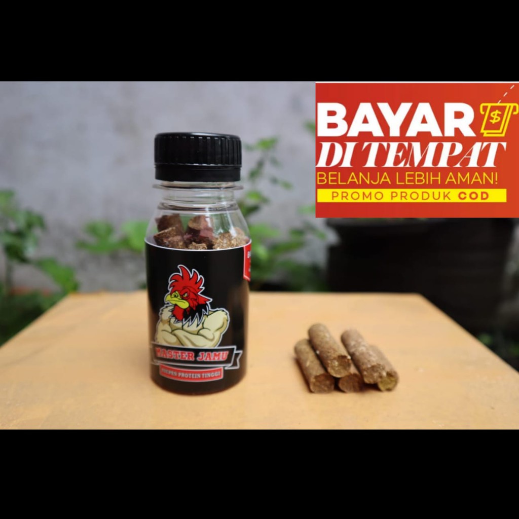 MASTER JAMU  Doping Jamu Ayam Bangkok  Laga Asupan Ayam  