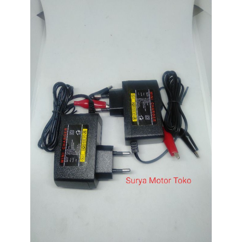 Charger Aki Mini Import
