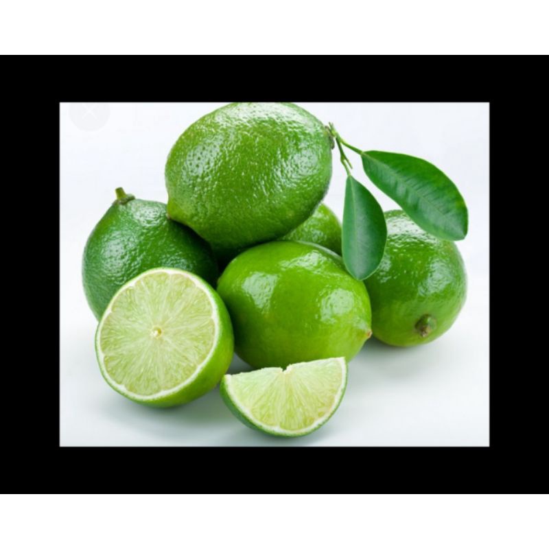 

Jeruk nipis murah serba 3ribu