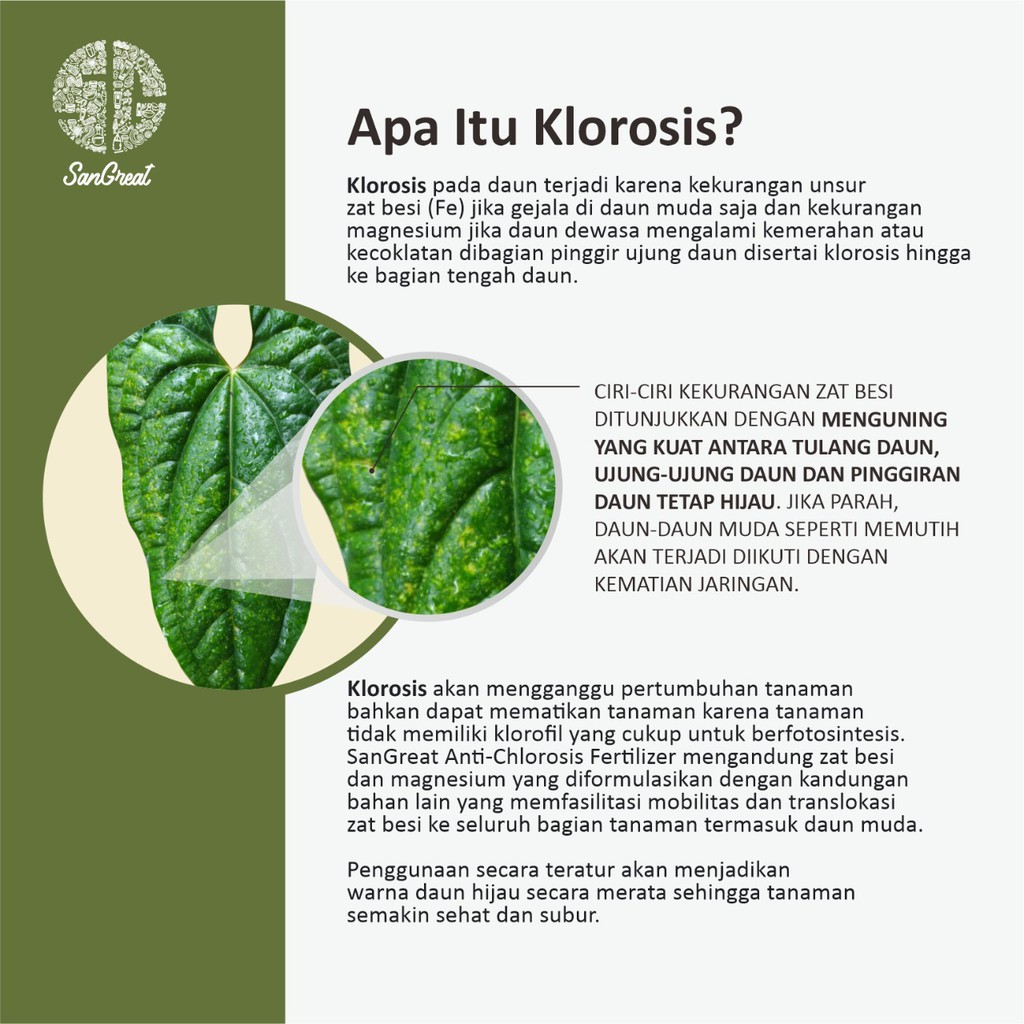 Pupuk Anti Klorosis Tanaman hias, Obat Daun Kekuningan dari SanGreat 100 ml