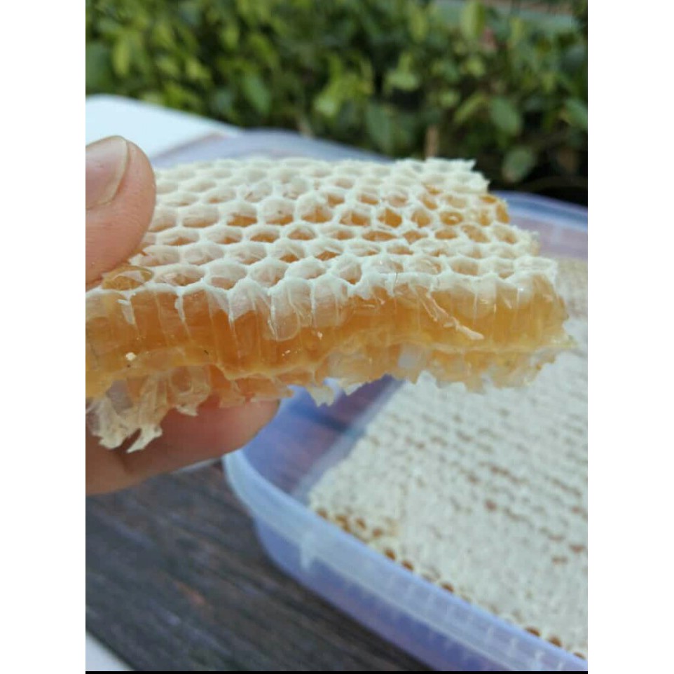 

Madu Sarang Murah