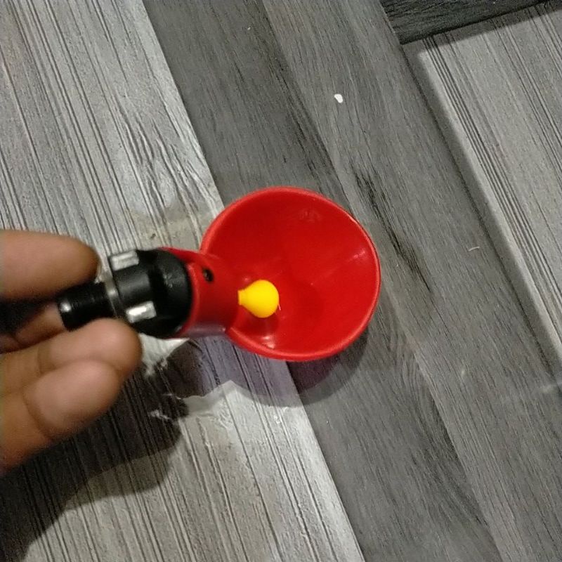 Tempat Minum Ayam/ Burung Otomatis