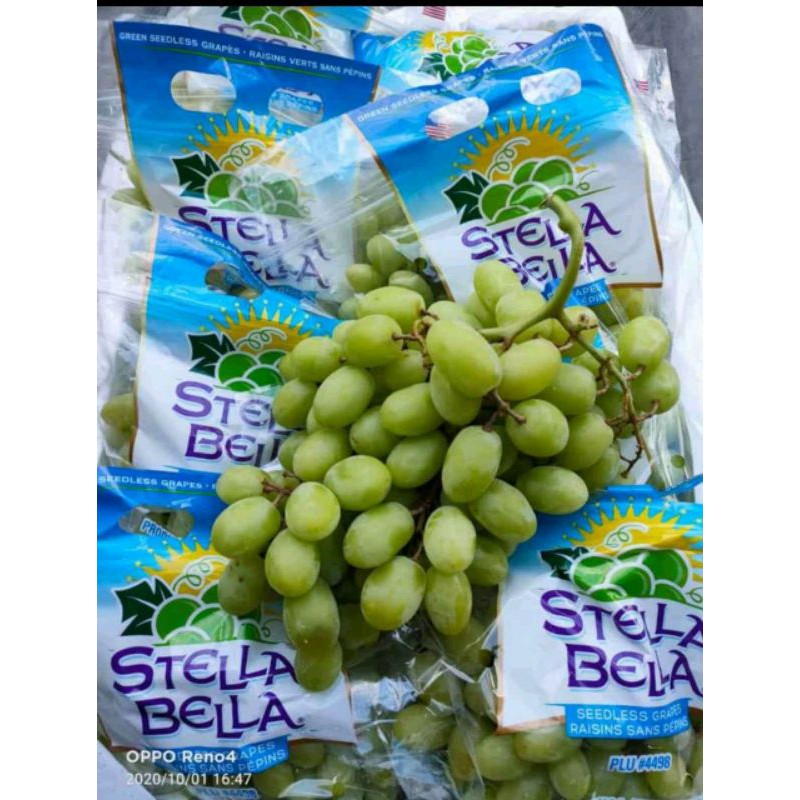 

Anggur Hijau Seedless USA