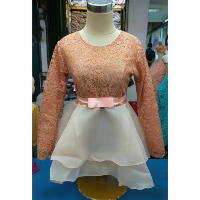 Kebaya brokat organza lengan panjang