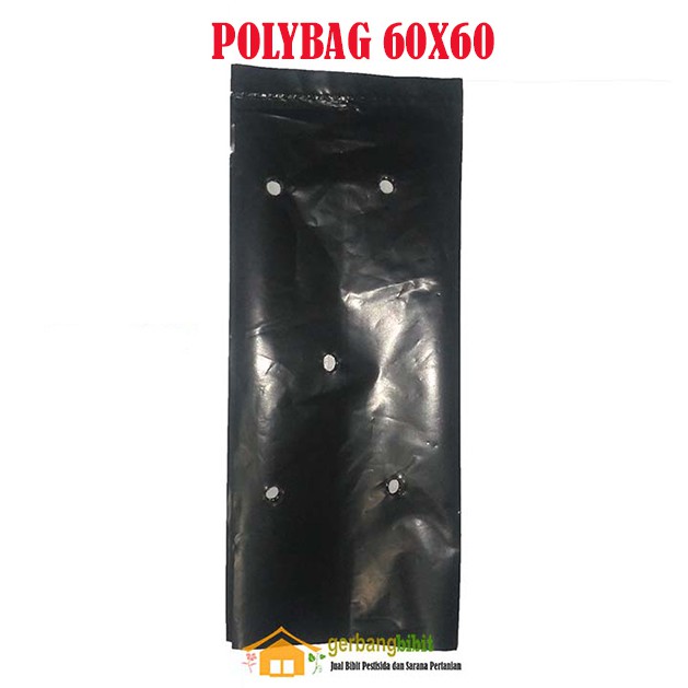 Polybag Ukuran 60x60 5 Lembar