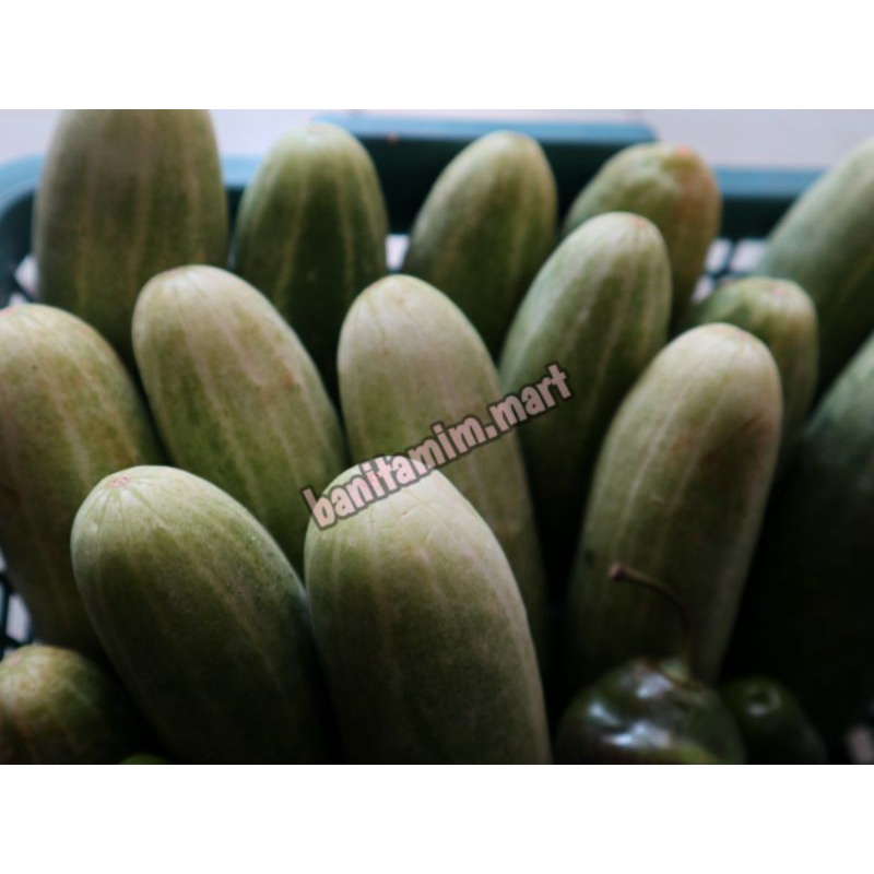 

MENTIMUN 250 GR