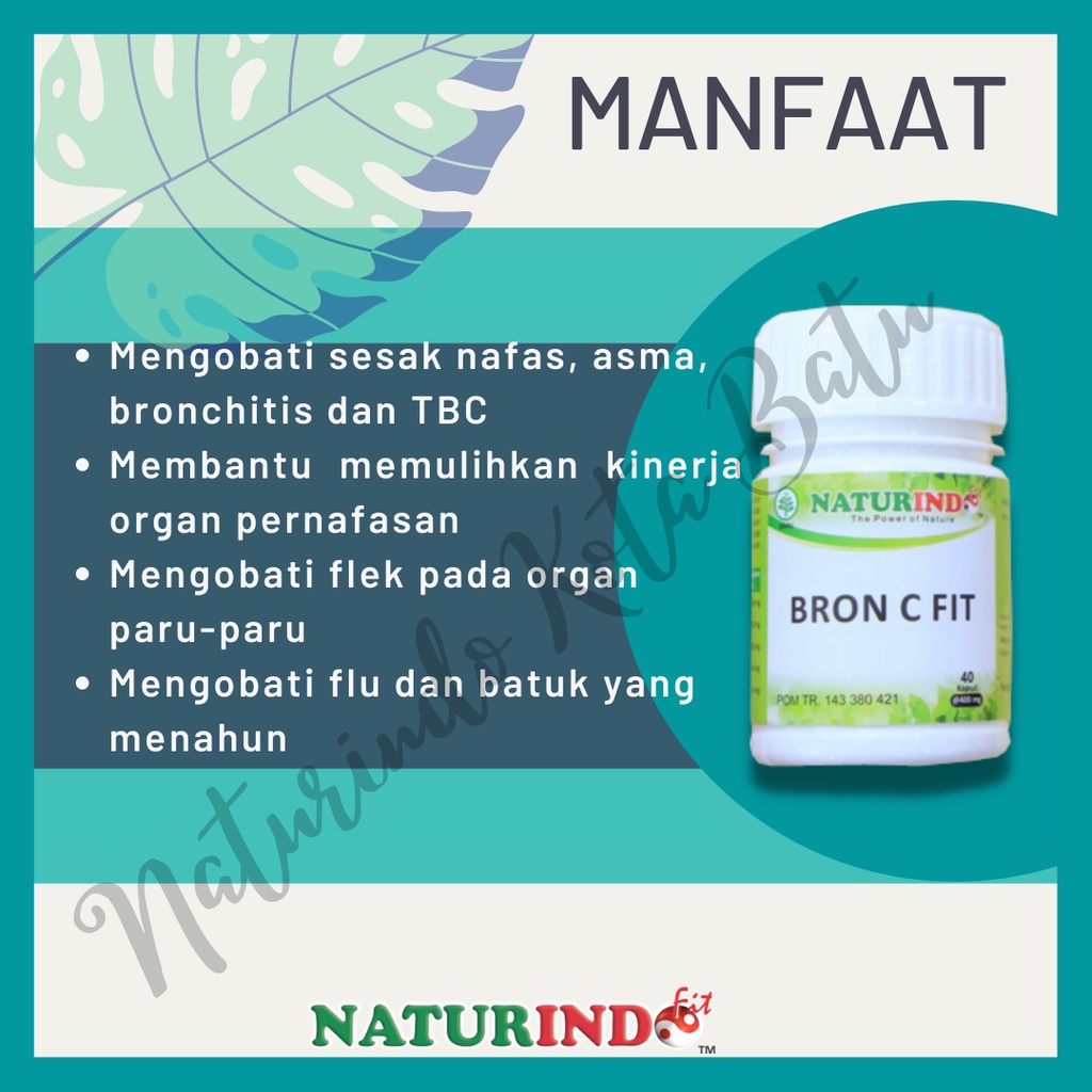 Obat Sinusitis Sinus TBC Batuk Menahun Gurah Paru Paru Radang Sakit Tenggorokan Asma Sesak Nafas Anosmia Herbal BPOM NATURINDO Bron C Fit 40 KAPSUL-3