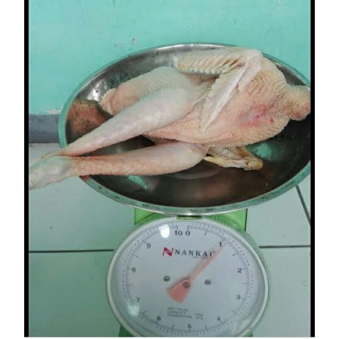 

Ayam kampung large