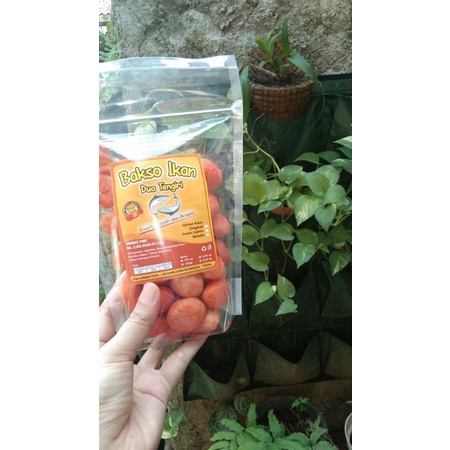 

kerupuk bakso ikan tengiri