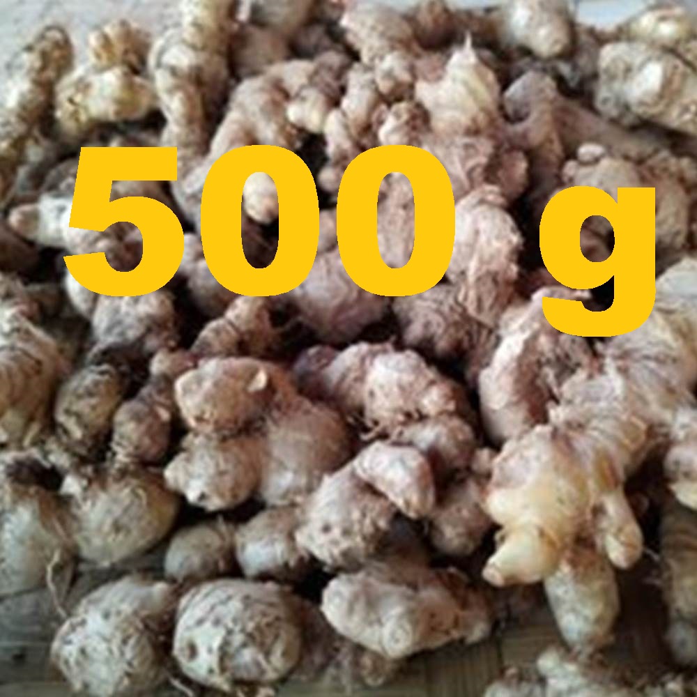 

500 gram Jahe Emprit Segar
