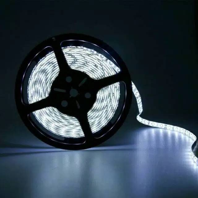 (INDO 168)Led 24 Volt 5 meter Led strip Truk Bis mata 5050