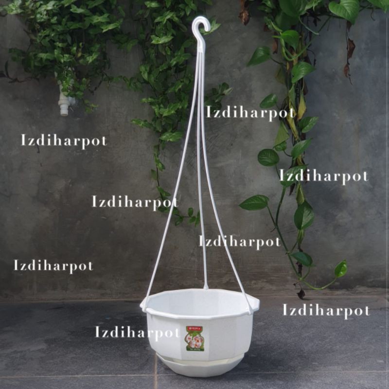 pot bunga tanaman gantung Gardenia 08 putih lion star 22cm