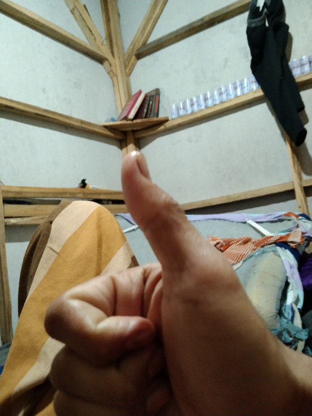 Cetakan Puding Love Plastik  Jelly Agar Coklat Nasi Bento Es Bentuk Love Cetakan Serbaguna