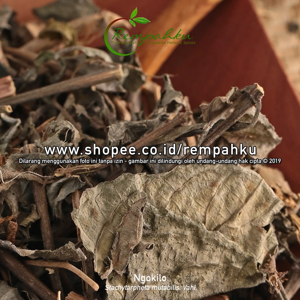 

Rempahku - Daun KEJI BELING 10gr Ngokilo Pecah Beling Ngukilo Jamu Obat